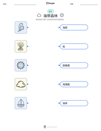 海带森林 可打印工作表预览