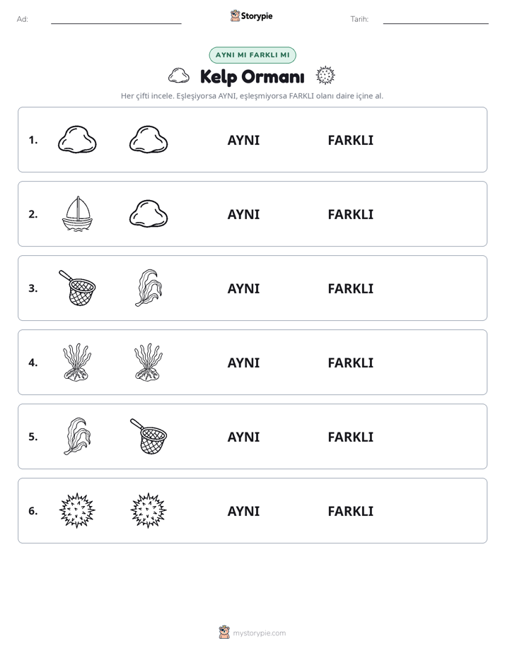 Aynı mı Farklı mı