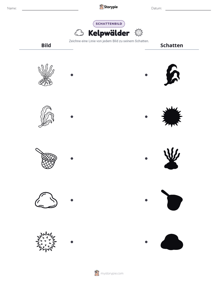 Schattenmatch