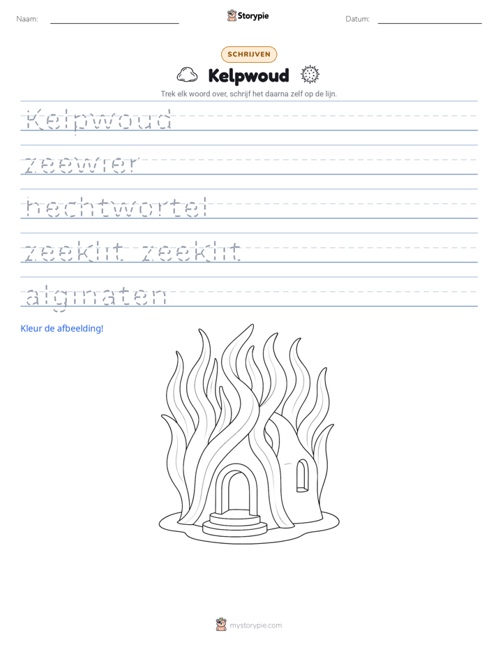 Schrijf Oefening