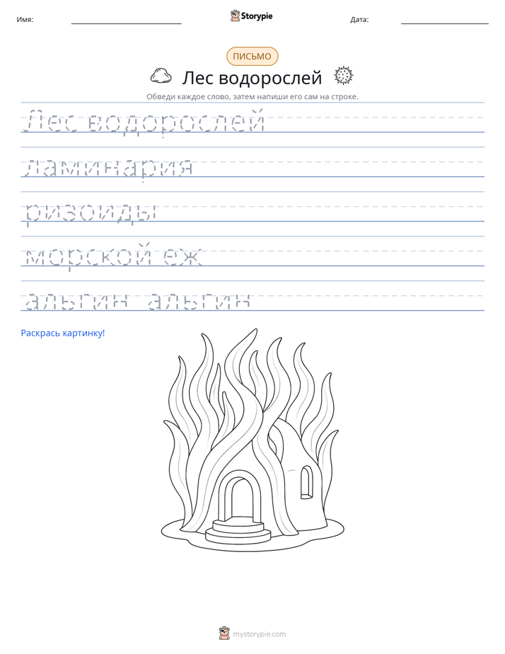 Практика письма