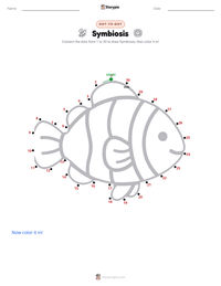 Symbiosis printable worksheet preview