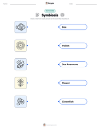 Symbiosis printable worksheet for kids