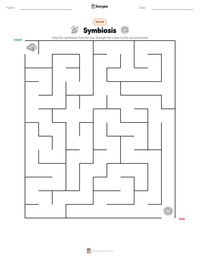Symbiosis printable worksheet preview