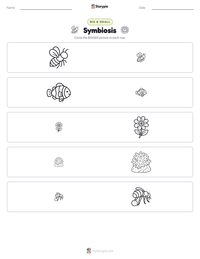 Symbiosis printable worksheet preview
