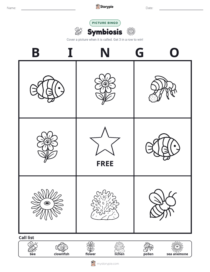 Picture Bingo