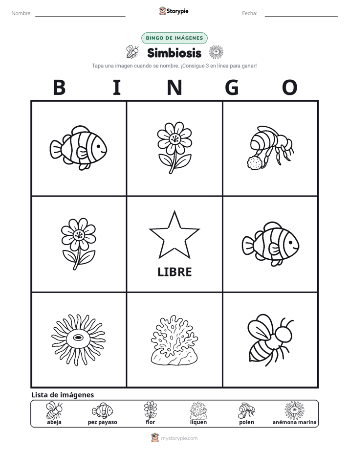 Bingo de Imágenes