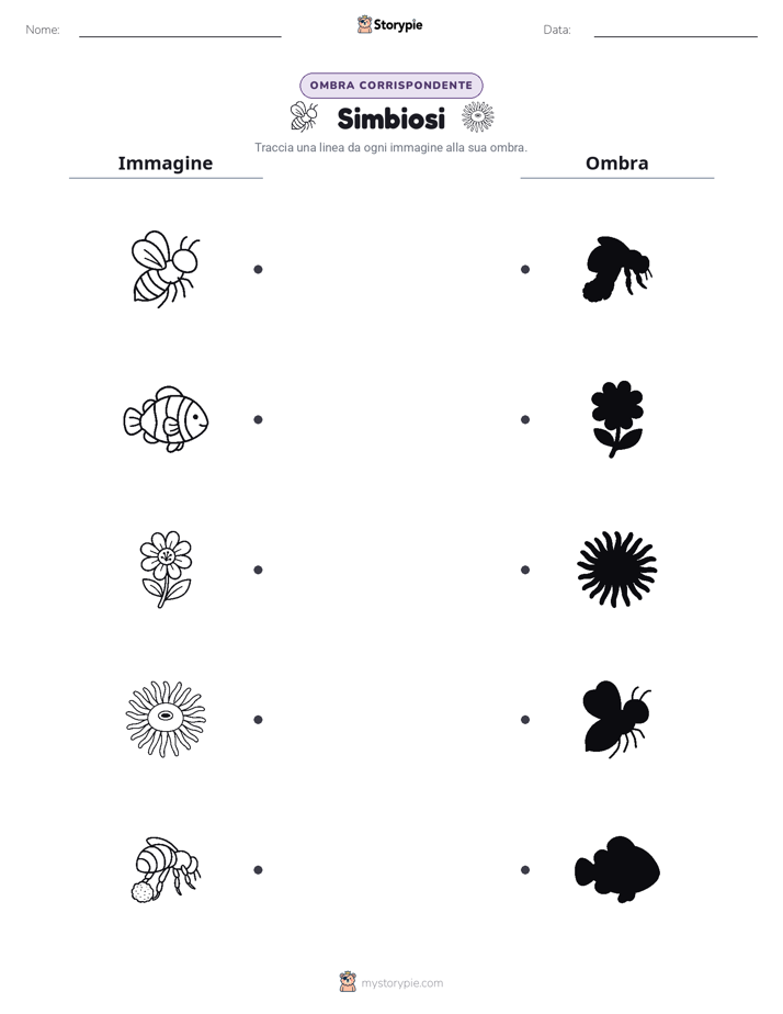 Corrispondenza Ombra