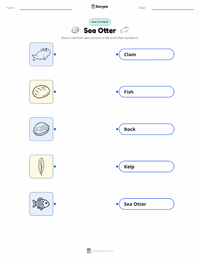 Sea Otter printable worksheet preview
