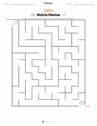 Vista previa de la hoja de trabajo imprimible de Nutria Marina