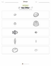 Sea Otter printable worksheet preview