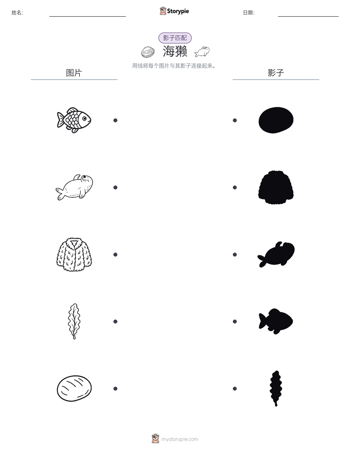 影子匹配