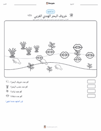 معاينة ورقة العمل القابلة للطباعة خروف البحر الهندي الغربي