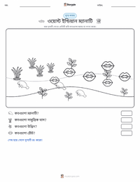 ওয়েস্ট ইন্ডিয়ান ম্যানেটি মুদ্রণযোগ্য কাজের পৃষ্ঠার প্রিভিউ