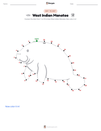 West Indian Manatee printable worksheet preview