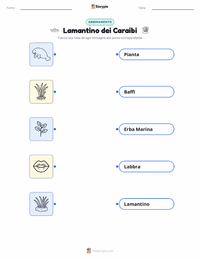 Scheda stampabile di Lamantino dei Caraibi per bambini