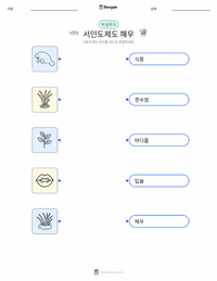 서인도제도 매너티 어린이용 인쇄 가능한 워크시트