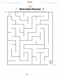 West Indian Manatee printable worksheet preview