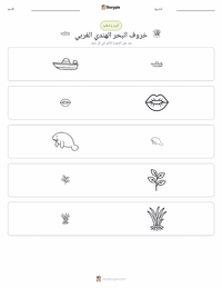 معاينة ورقة العمل القابلة للطباعة خروف البحر الهندي الغربي