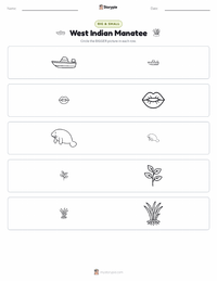 West Indian Manatee printable worksheet preview