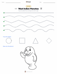 West Indian Manatee printable worksheet preview