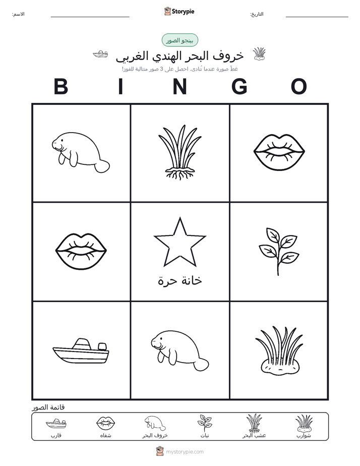 بينغو الصور