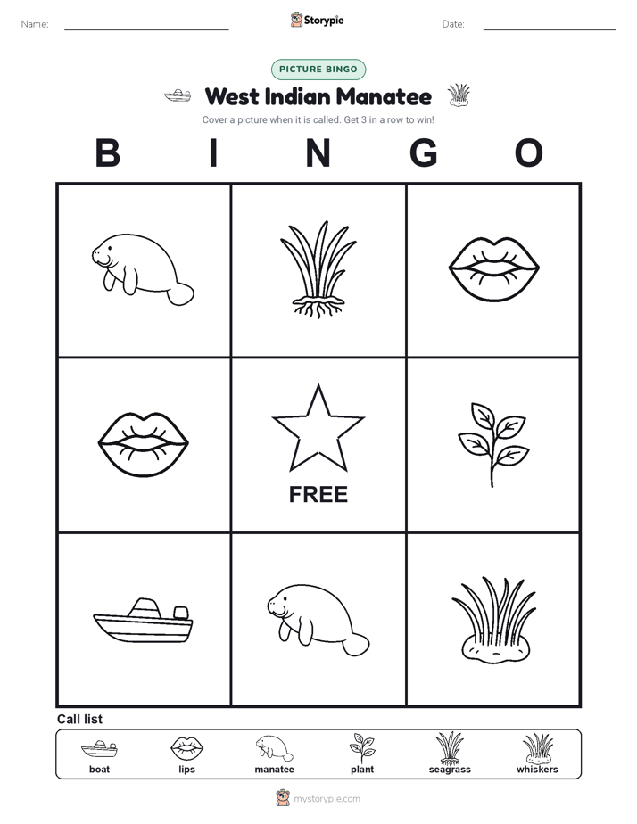 Picture Bingo