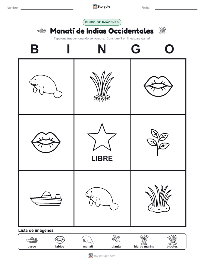 Bingo de Imágenes