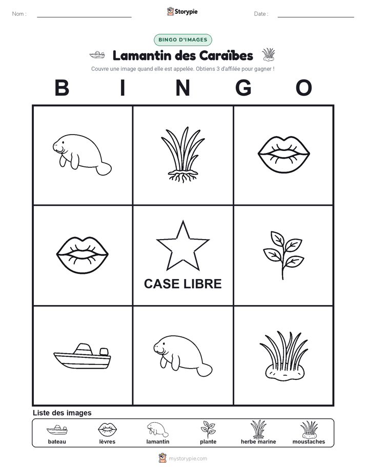 Bingo d'Images