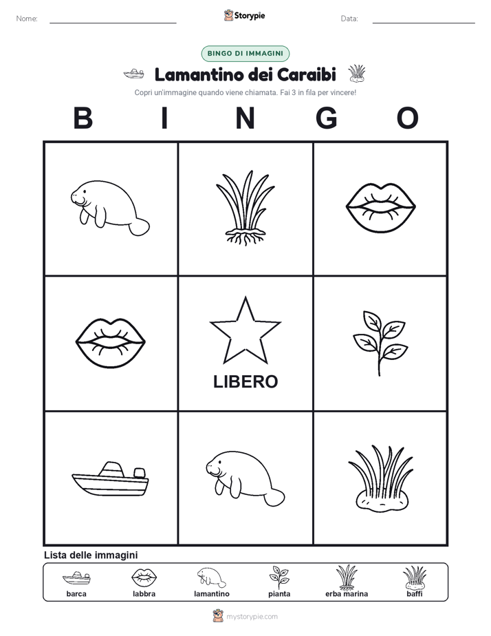 Bingo delle Immagini
