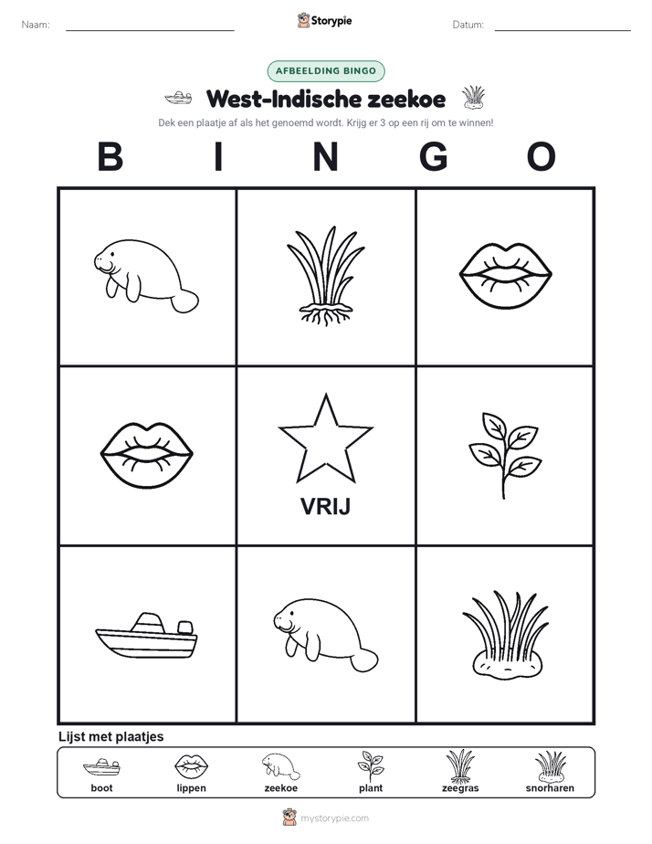 Afbeelding Bingo