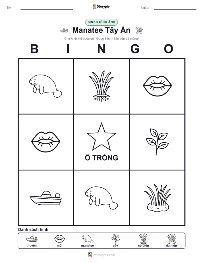 Bingo Hình Ảnh