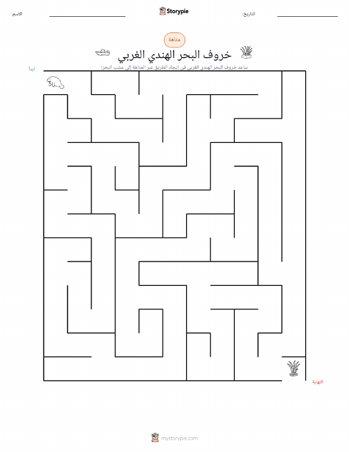 متاهة