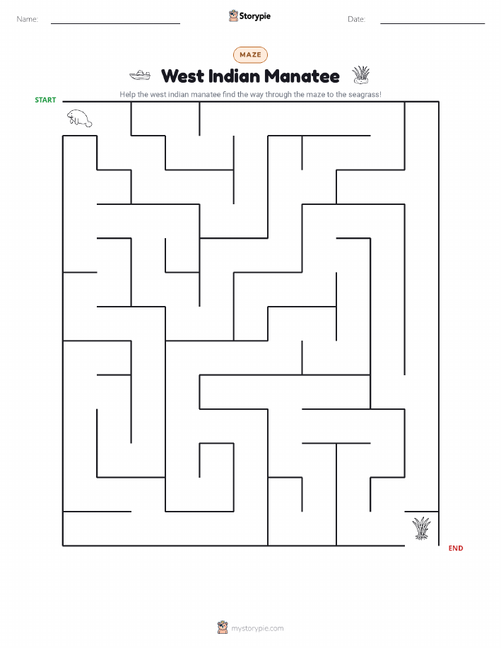Maze