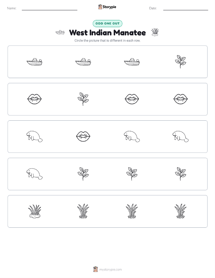 Odd One Out