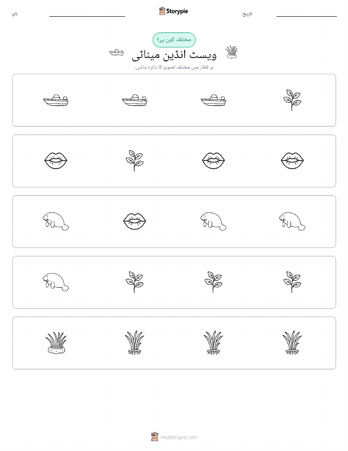 عجیب ایک