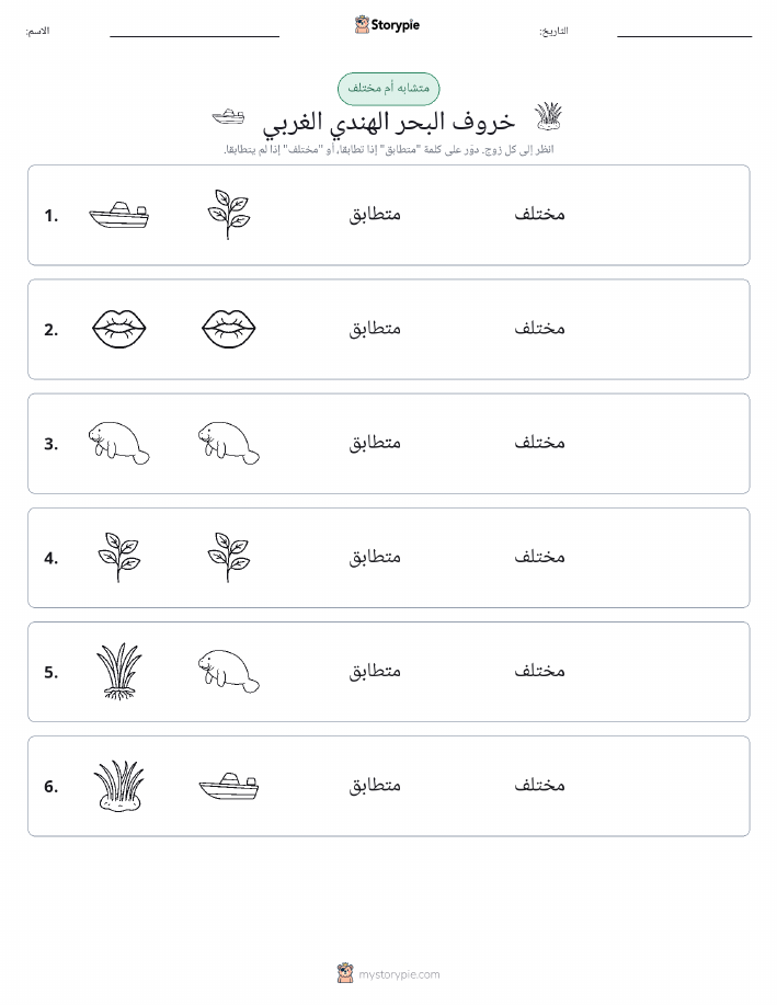نفس أو مختلف
