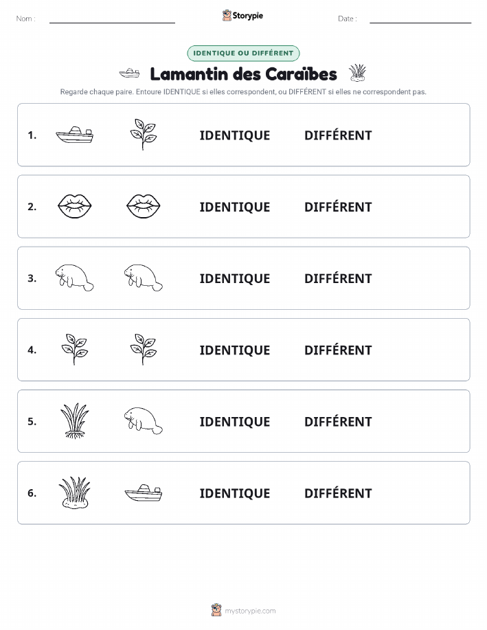 Identique ou Différent