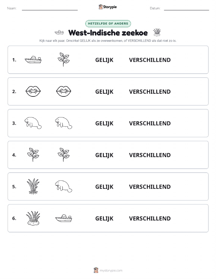 Zelfde of Verschillend