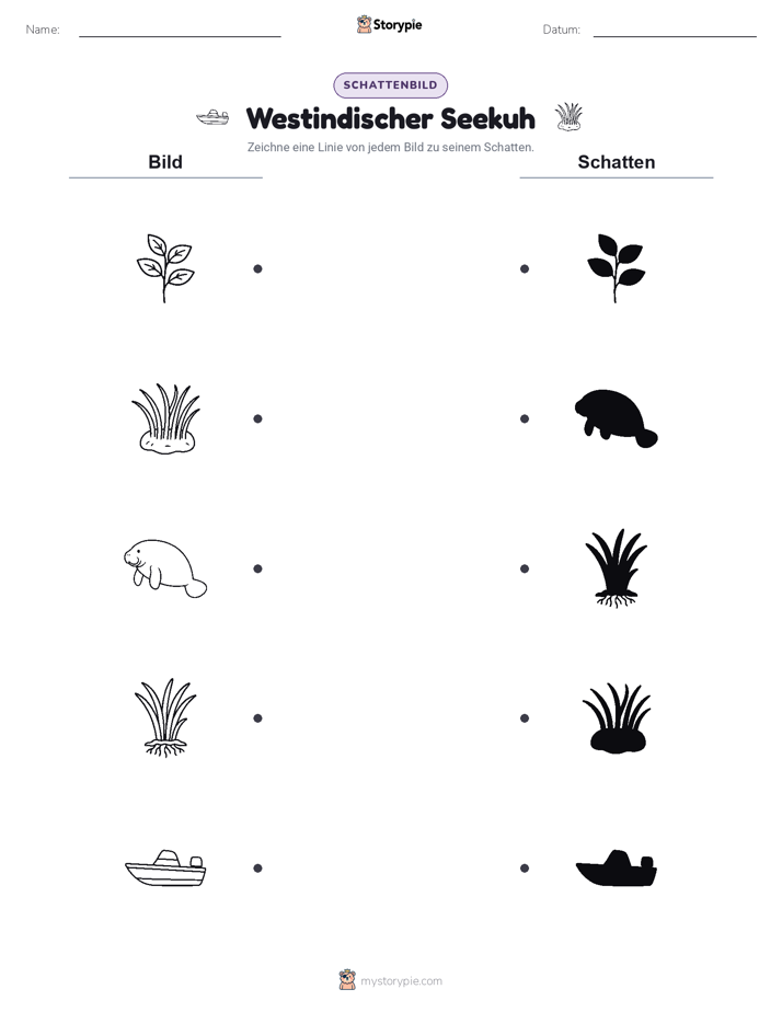 Schattenmatch