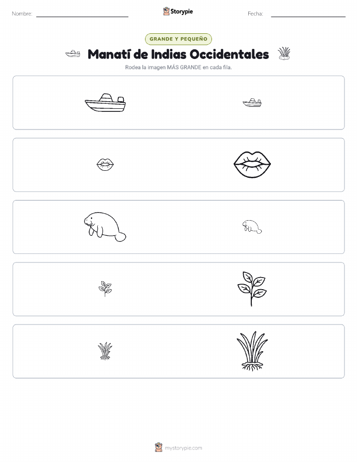 Clasificación