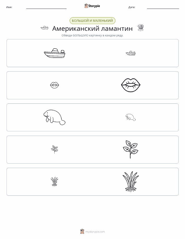 Сортировка