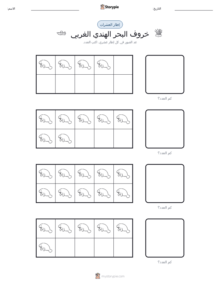 إطار العشرة