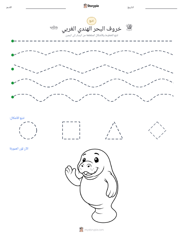 تتبع