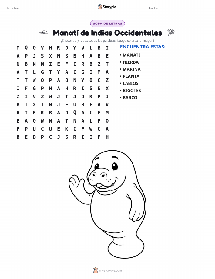 Sopa de Letras
