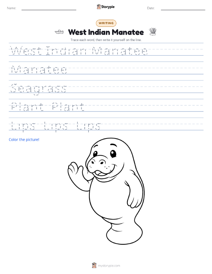 Writing Practice