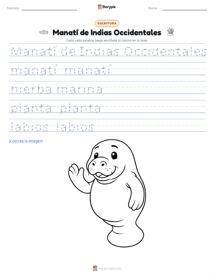 Práctica de Escritura