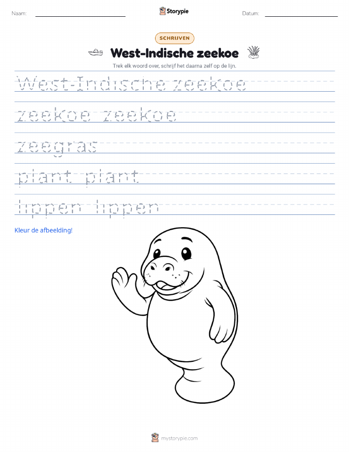 Schrijf Oefening