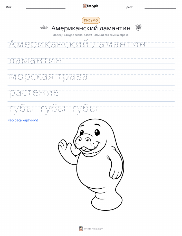 Практика письма