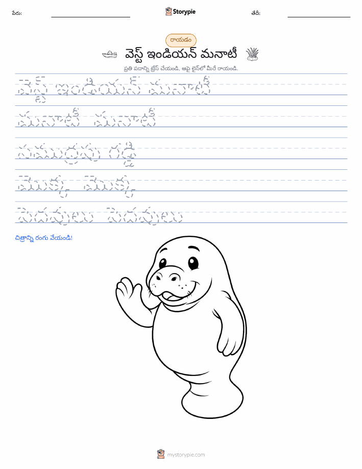 రాయడం సాధన